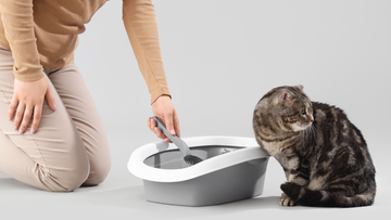 12 Must-Have Accessories for the Furrbby Litter Box