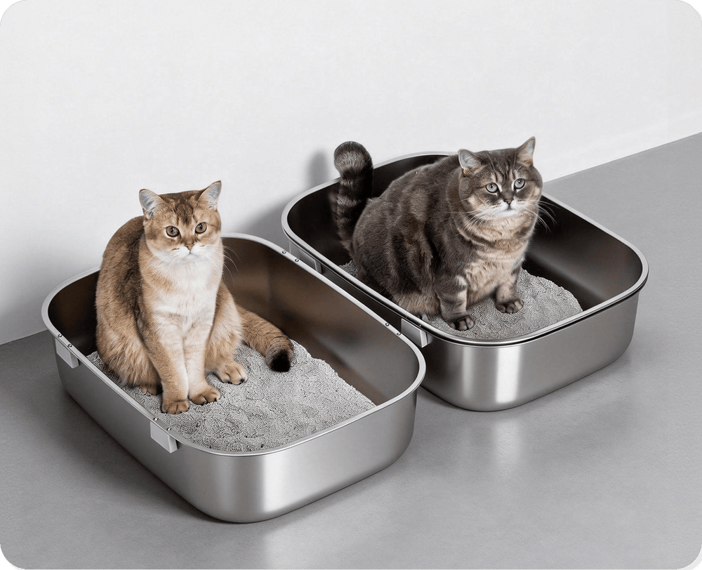 Dual-Box System