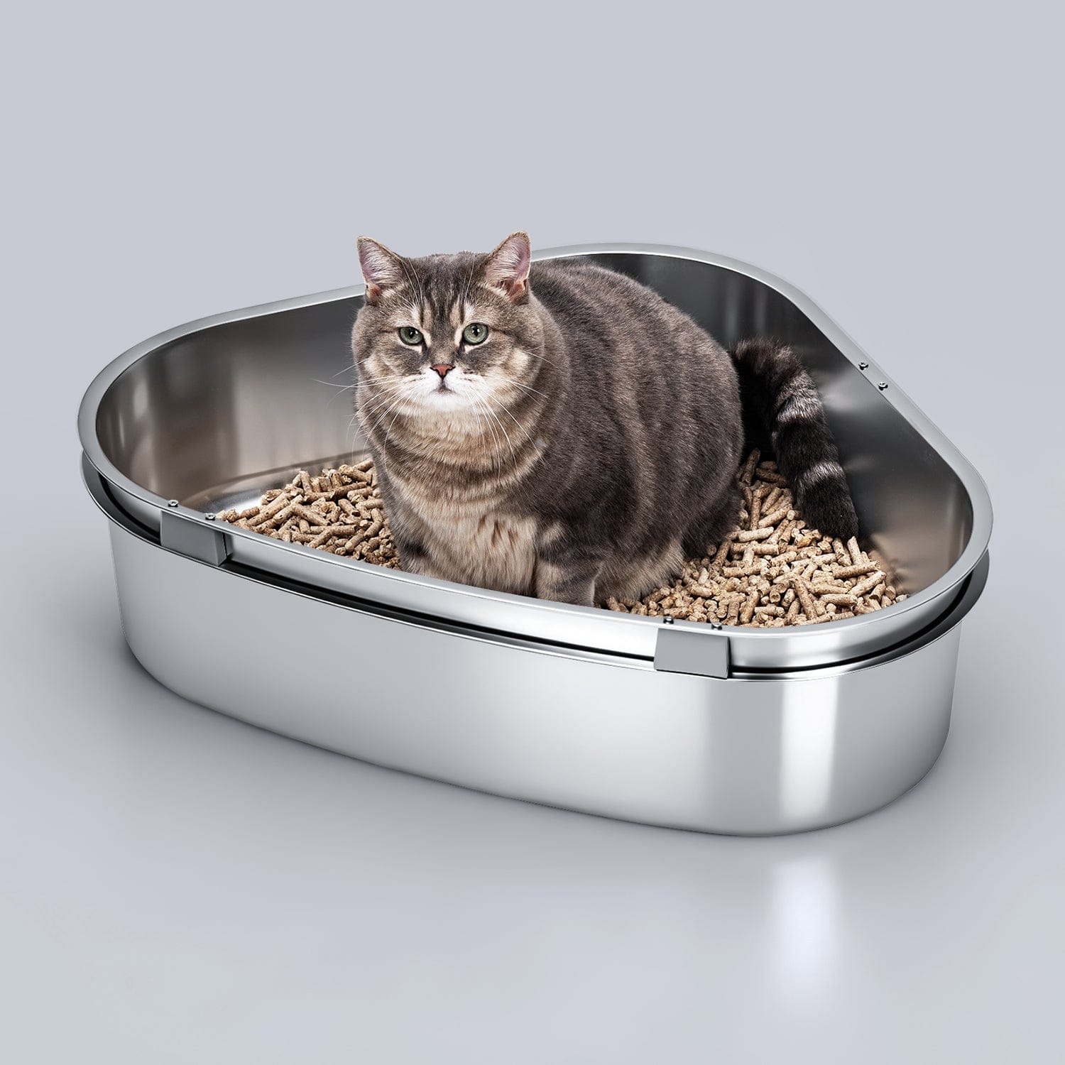 Feline Pine Litter Best Litter For Sifting Litter Box XXL Corner Sifting  Litter Box For Pine Pellet