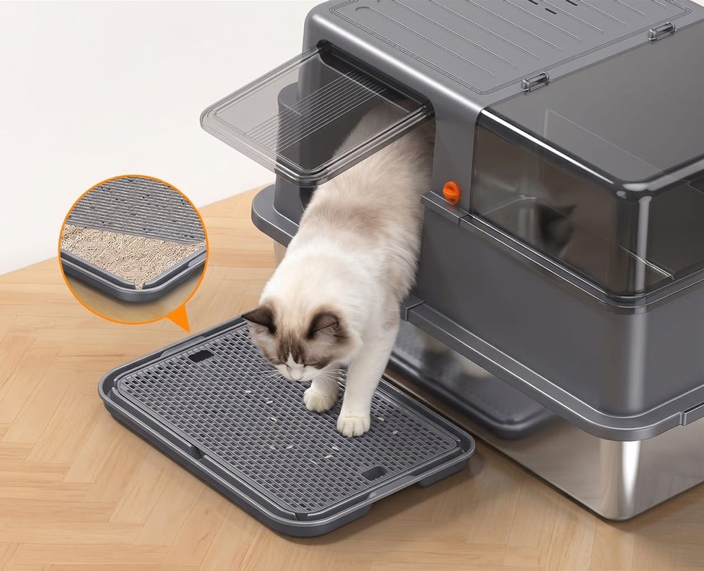 Filter Step, Less Litter Mess