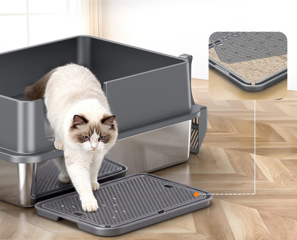 Filter Step, Less Litter Mess
