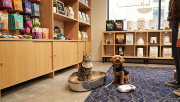 Furrbby stainless steel cat litter box in a pet store, with a cat sitting inside. Durable metal litter tray.