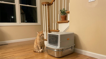 Furrbby Stainless Steel Sifting Litter Box - Enclosed Hooded Metal Cat Litter Box with Paw Print Door for Odor Control