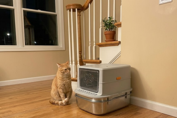 Furrbby XXL vs. Modkat XL: The Battle of the High-Sided Giants