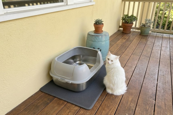 Amazon Knockoffs vs. Furrbby: The 