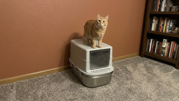 Furrbby odor-control hooded litter box with stainless steel sifting design, cat standing on it in a cozy home