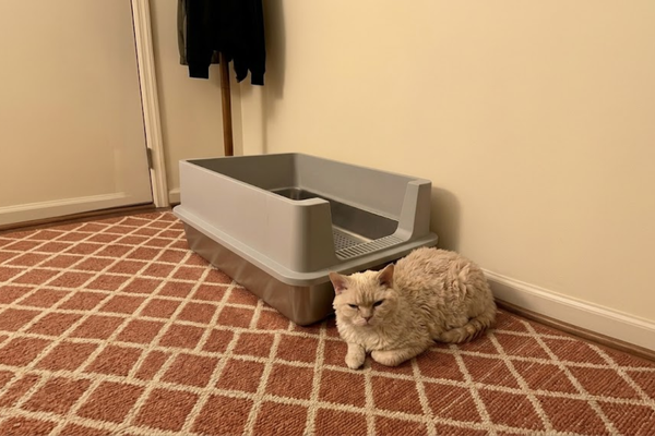 DIY vs. Furrbby: Why Drilling Holes in a Bucket [Doesn't Work]