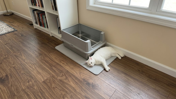Furrbby XXL Wood Series Stainless Steel Sifting Litter Box with mat, white cat resting on the litter mat beside the open-top design