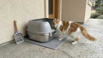 Furrbby XL Stainless Steel Sifting Litter Box for clumping litter, easy to clean high-sided design with litter scoop and mat