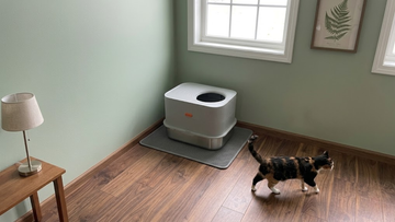 Stylish top-entry cat litter box by Furrbby, enclosed design for odor control, light gray with stainless steel base, ideal for blending into home decor
