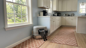 Furrbby Modern Enclosed Stainless Steel Litter Box with Hidden Entry