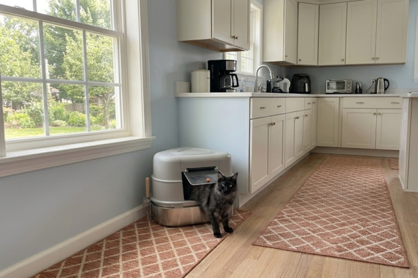 Stainless Steel Box vs. Automatic Robot: Which is Right for [Hygienic Homes]?