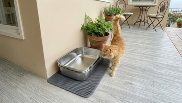 Furrbby Open-Top Stainless Steel Cat Litter Box with Mat on Outdoor Patio
