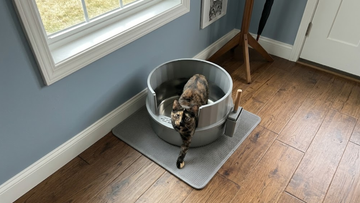 Furrbby Easy-Clean Stainless Steel Litter Box with Mat, Cat Using It
