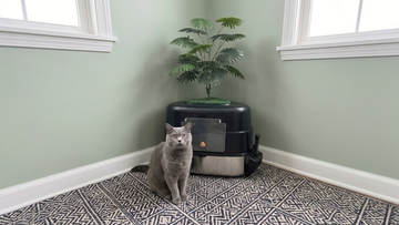 Furrbby Decorative Enclosed Stainless Steel Litter Box with Plant Top