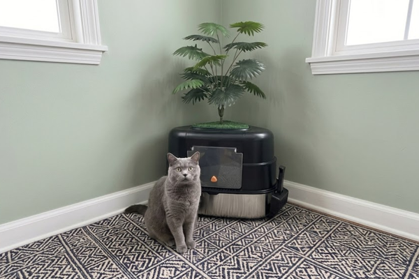 Perfect Memorial Day Upgrade for Multi-Cat Homes