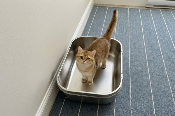 The Furrbby Difference: Built to Last, Designed to Save You Money