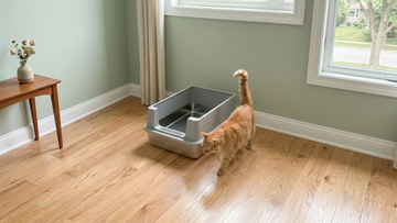 Furrbby stainless steel litter box with built-in sifting system for quick, easy cleaning.