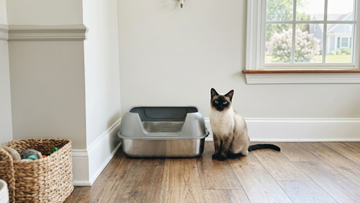 Furrbby stainless steel litter box with high sides, preventing litter scatter and spills.