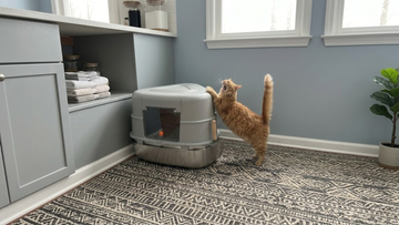 Corner enclosure sifting litter box compatible with pine pellet litter, stainless steel sifting system, space-saving home cat litter station