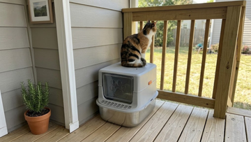 Furrbby full enclosure sifting stainless steel litter box, tall full enclosure blocks litter tracking and unpleasant odor, easy-to-sift stainless steel litter tray
