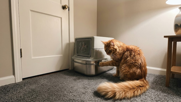 Furrbby sifting stainless steel litter box, full odor-containment enclosure, heavy-duty stainless steel sift base