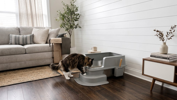 Furrbby Low Step Entry Stainless Steel Litter Box, Ramp Access High Sided Anti-Tracking Metal Cat Litter Pan for Kittens & Senior Cats