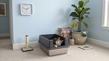 Furrbby Half Raised Front Entry Stainless Steel Litter Box, Rustproof Spacious Cat Toilet Placed in Light Bedroom Corner