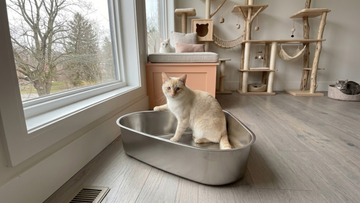 Furrbby Corner Triangle Stainless Steel Litter Box, Spacious Low Entry Rustproof Cat Toilet in Cat Play Room Near Window