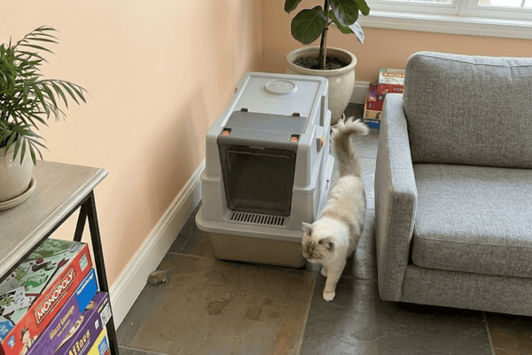 Furrbby Stainless Steel Litter Boxes: No Odor, No Mold, Easy Maintenance