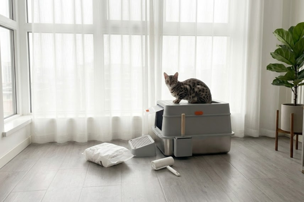 The Maine Coon & The Munchkin: Solving Size Disparities
