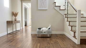 Furrbby Sifting Stainless Steel Litter Box boasting rust-proof inner tank and efficient litter sifting performance, matching elegant contemporary hallway decor near indoor stairs