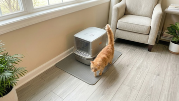 Furrbby Sifting Stainless Steel Litter Box, built-in sifting mechanism that cuts down daily litter-cleaning workload