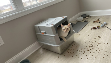 Furrbby XXL enclosed side entry Stainless Steel Litter Box odor-block metal cat toilet for indoor household use