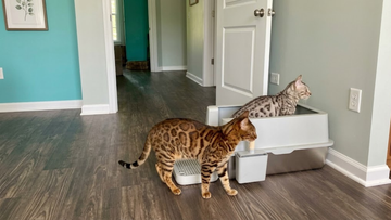 Furrbby XXL side entry Stainless Steel Litter Box with litter collection pedal, multi-cat friendly metal cat toilet for home use