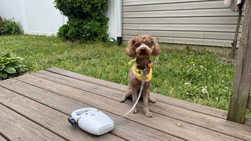Furrbby lightweight portable pet leash gear, pocket-sized compact design, great for outdoor backyard walking & daily dog outings
