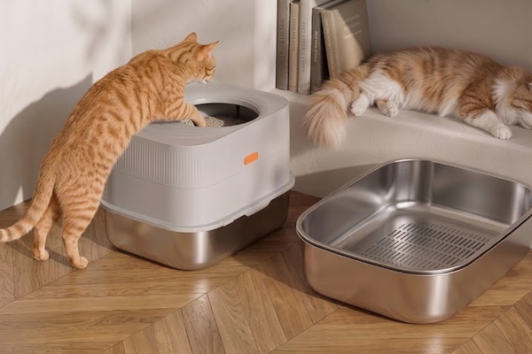 Sifting Litter Boxes: 5 Benefits Every Cat Owner Should Know