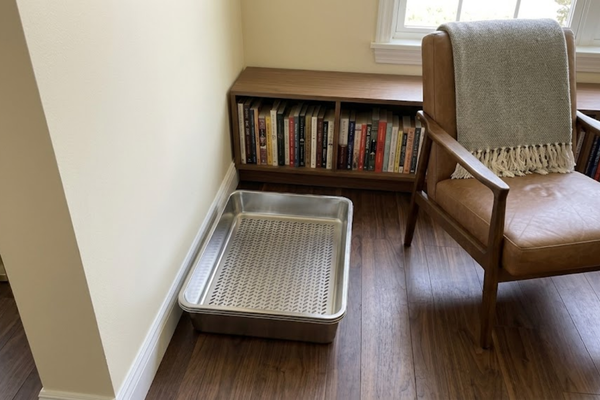 Top Hygiene-Focused Litter Solutions for a Cleaner Cat Box