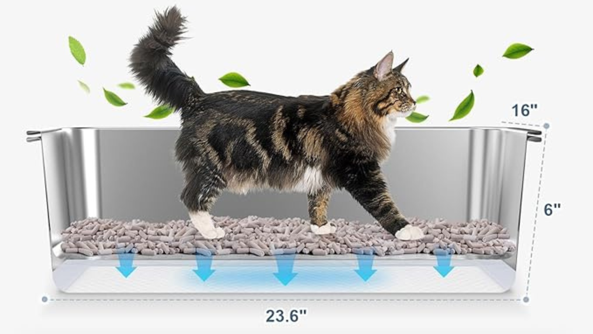 Best Stainless Steel Litter Boxes for Apartment Cats: Space-Saving & Durable Picks