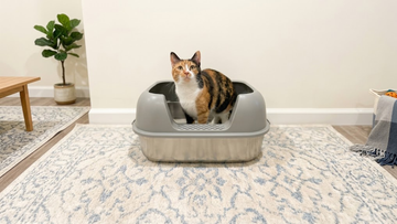 Furrbby dual‑pan sifting stainless steel litter box, splash‑proof & rust‑proof easy‑clean design
