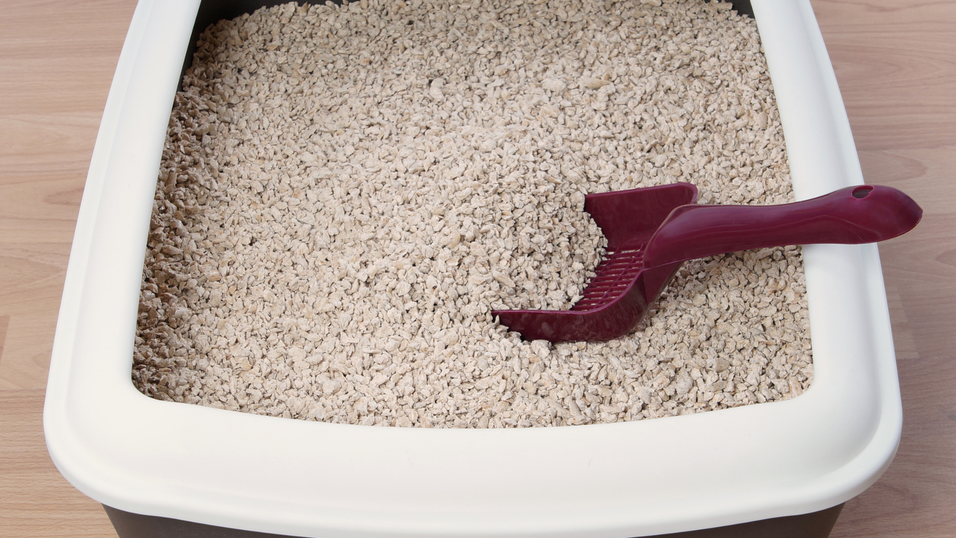 How to Clean a Stainless Steel Litter Box with Pine Pellets