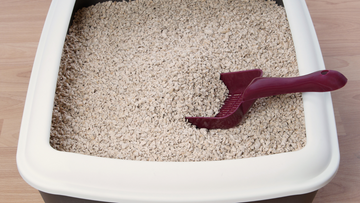 How to Clean a Stainless Steel Litter Box with Pine Pellets