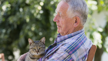 Best Stainless Steel Litter Boxes for Senior Cats: Easy Access & Odor Control