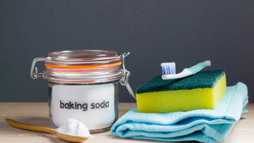 Weekly Stainless Steel Litter Box Cleaning Guide for Odor-Free Care
