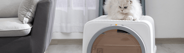 Bringing Home a Rescue: Why a Metal Box is Crucial for New Cats