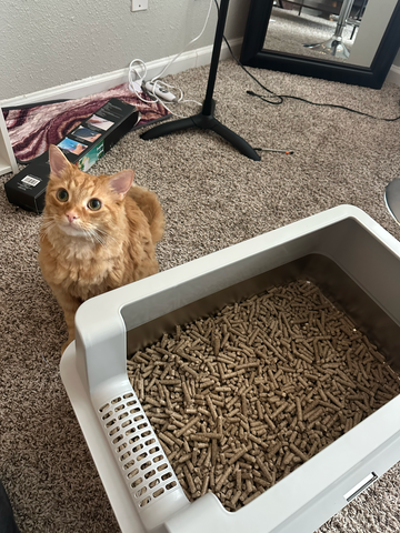 Stop Buying Liners: Why Stainless Steel is the Ultimate [Non-Stick Solution]