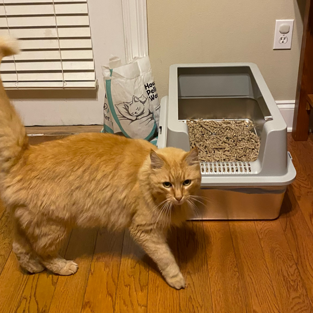 Minimalist Stainless Steel Litter Box: Sleek Design & Easy Cleaning