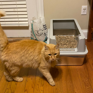 Minimalist Stainless Steel Litter Box: Sleek Design & Easy Cleaning