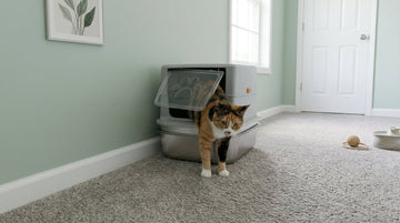 Furrbby stainless steel litter box featuring excellent odor‑proof and easy‑clean design