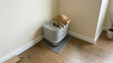 Furrbby XL top‑entry enclosed stainless steel litter box featuring excellent odor‑proof and easy‑clean design